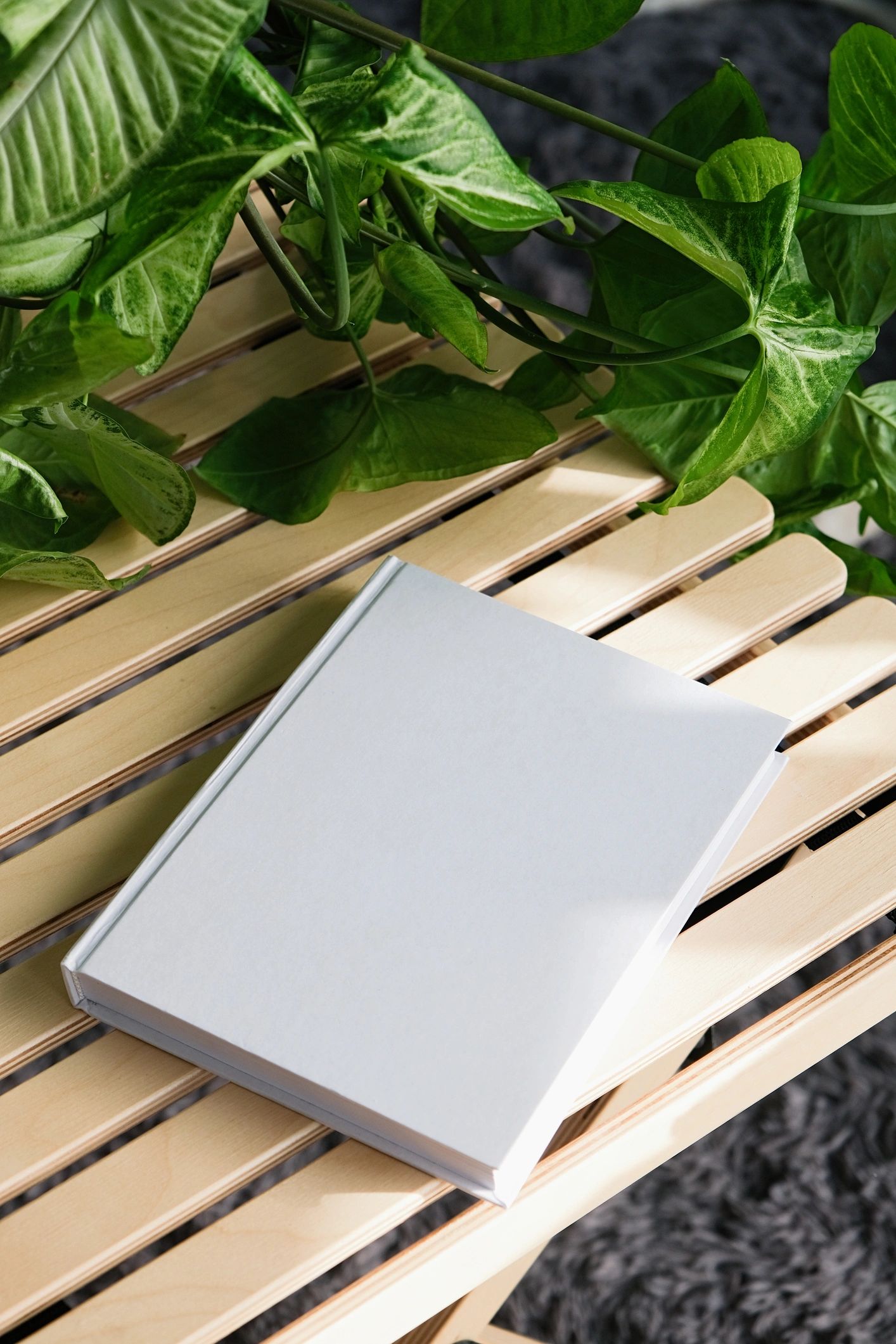 Blank book cover mockup on table with plants